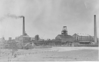 Chatterly Whitfield